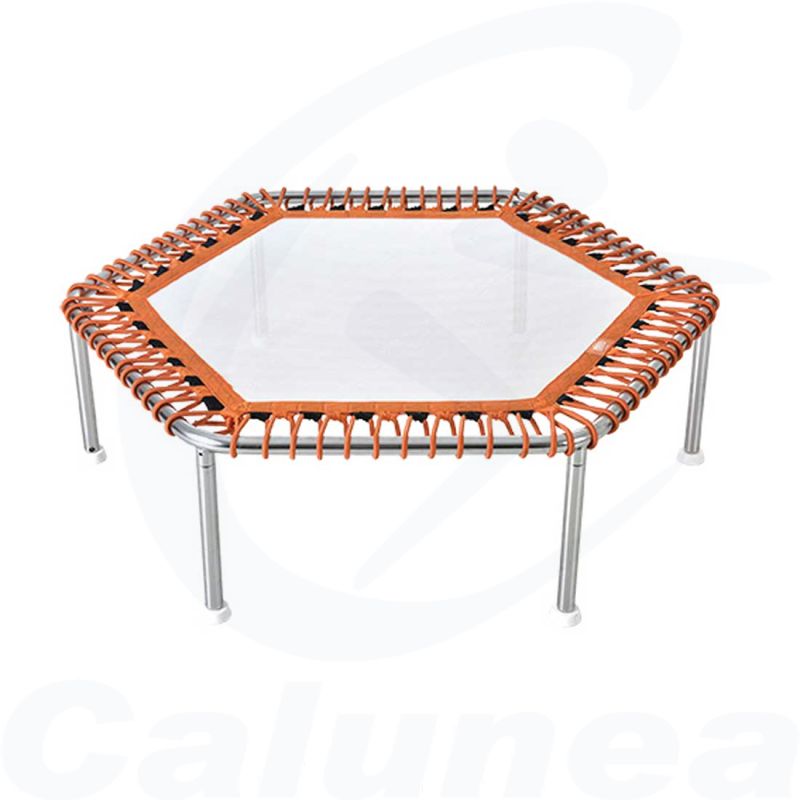 Image du produit Aqua trampoline WX-TRAMP PREMIUM ZESHOEKS WATERFLEX - boutique Calunéa
